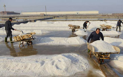 腌制鹽工作現場
