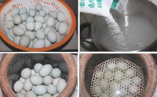 腌鴨蛋用什么鹽 咸鴨蛋怎么腌