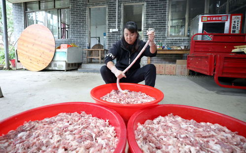 廣西三江 古鎮(zhèn)臘味香滿街，腌制鹽香傳千年